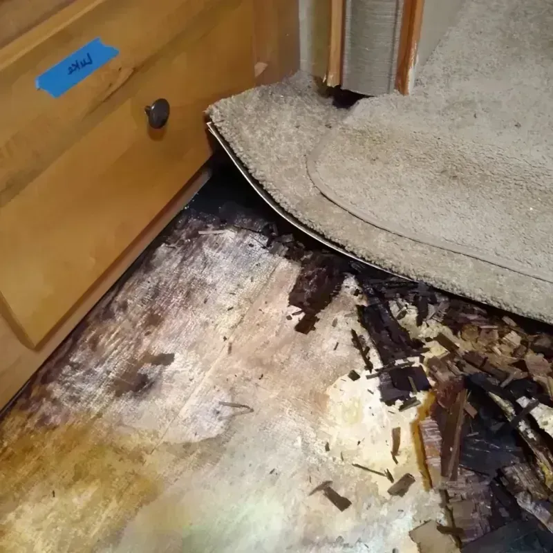 Best Wood Floor Water Damage Service in Clatskanie, OR